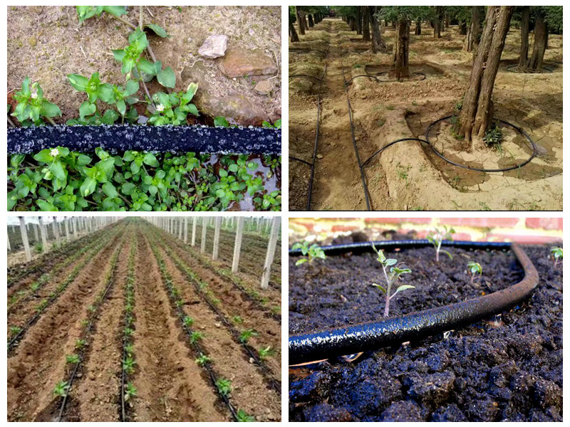 ¿Cómo se utiliza la manguera de goma para riego?